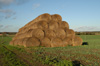Agriculture